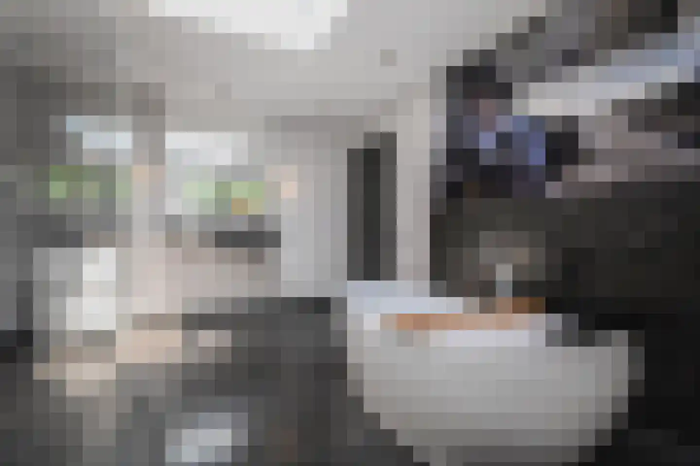 Parnashofweg 61 Leidschendam thumbnail 32