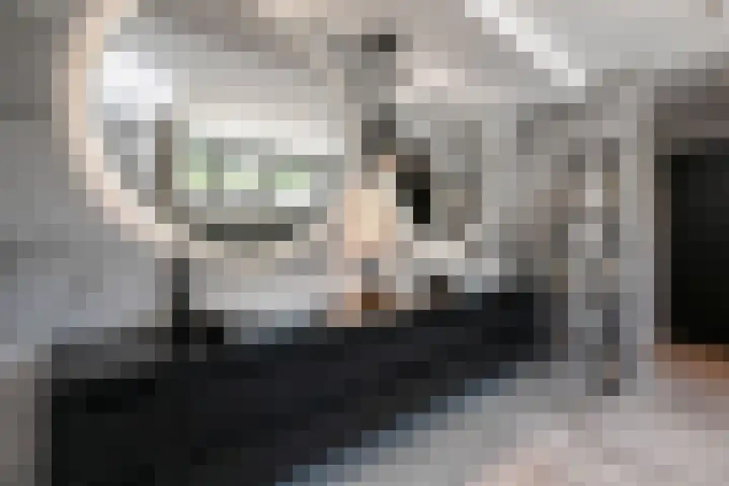 Parnashofweg 61 Leidschendam thumbnail 33