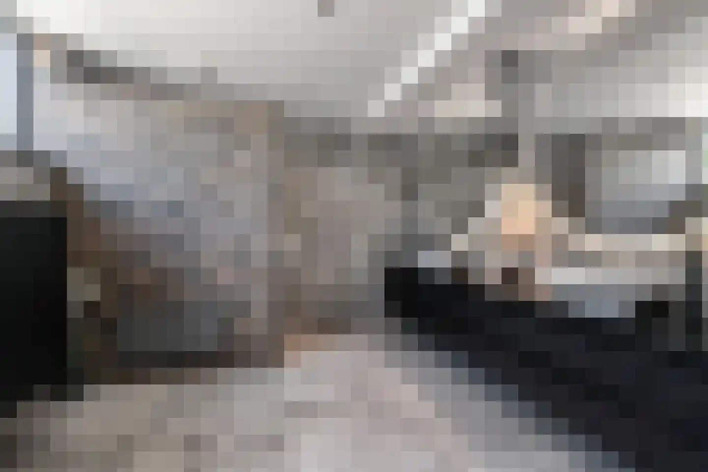 Parnashofweg 61 Leidschendam thumbnail 35