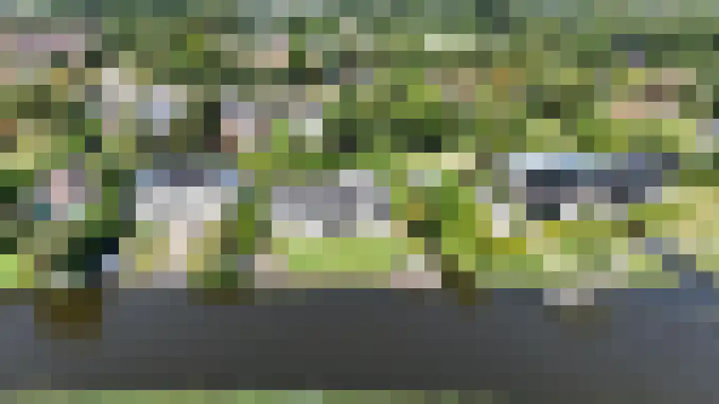 Parnashofweg 61 Leidschendam thumbnail 52