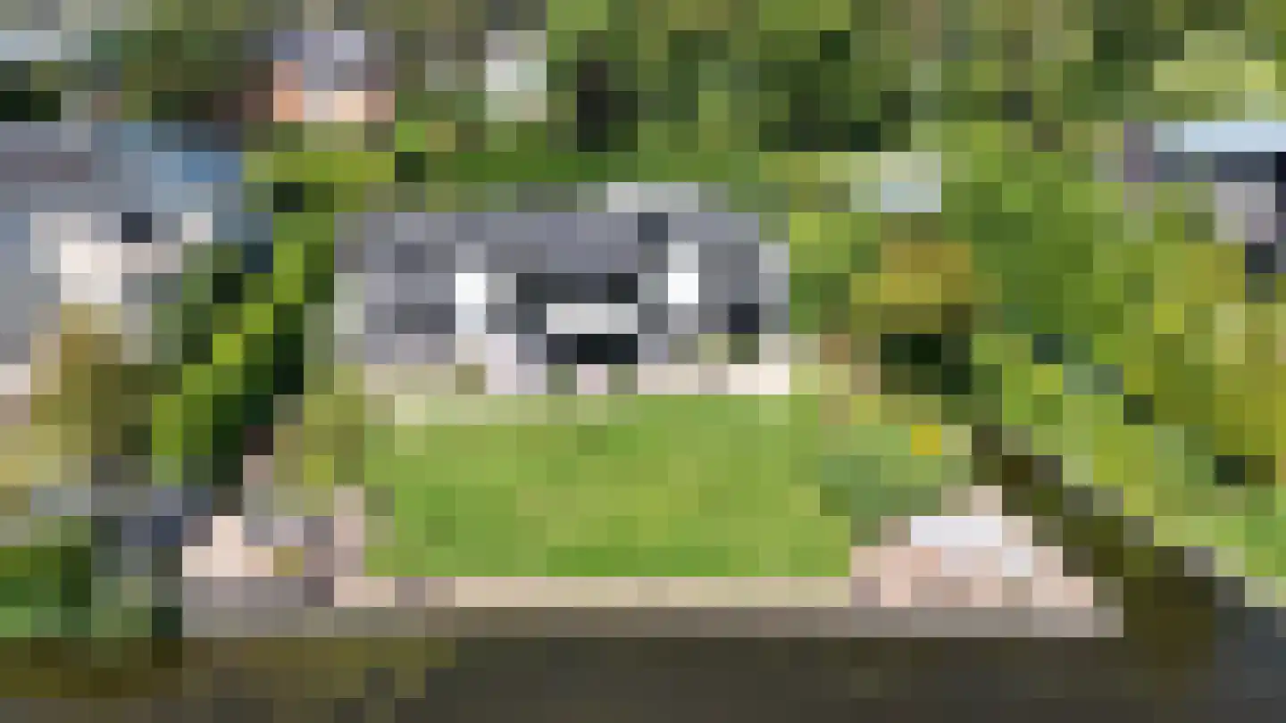 Parnashofweg 61 Leidschendam thumbnail 53