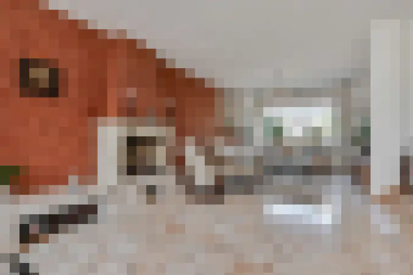 Parnashofweg 75 Leidschendam thumbnail 17