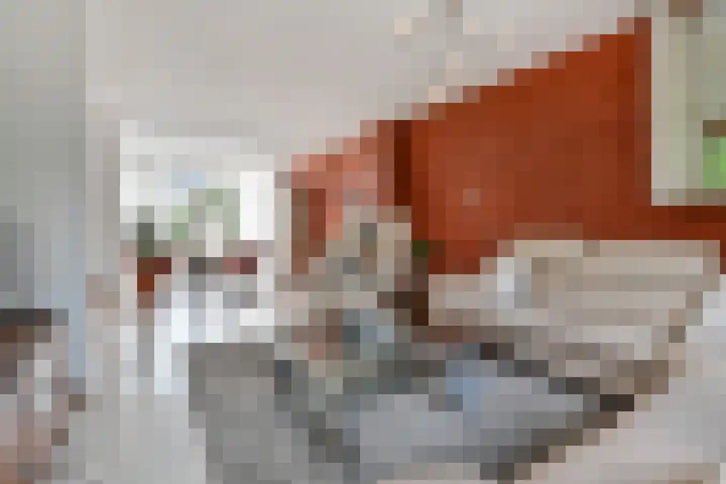 Parnashofweg 75 Leidschendam thumbnail 18