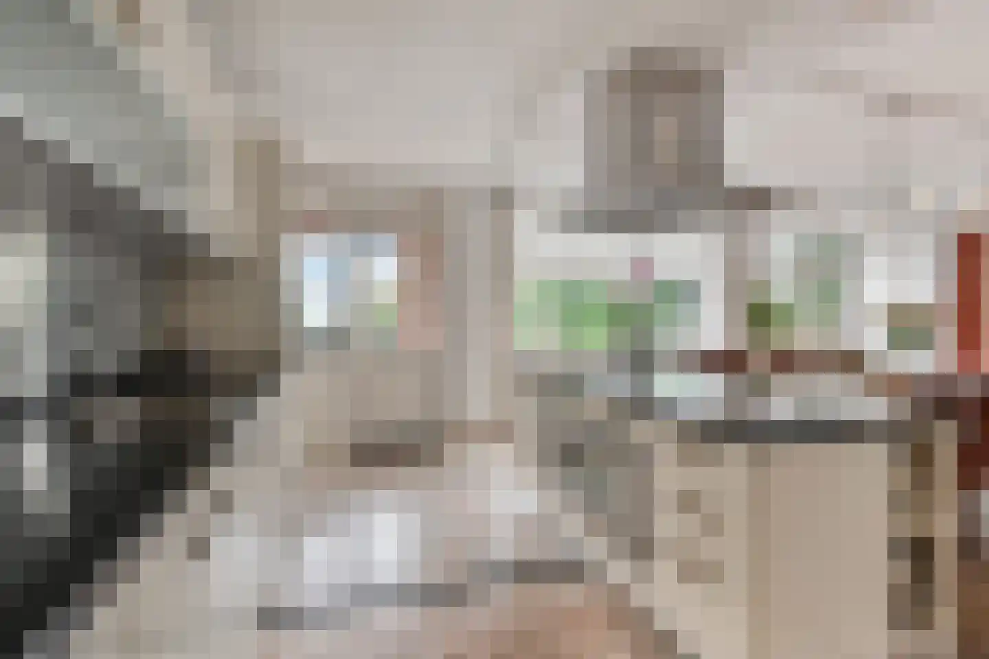 Parnashofweg 75 Leidschendam thumbnail 22