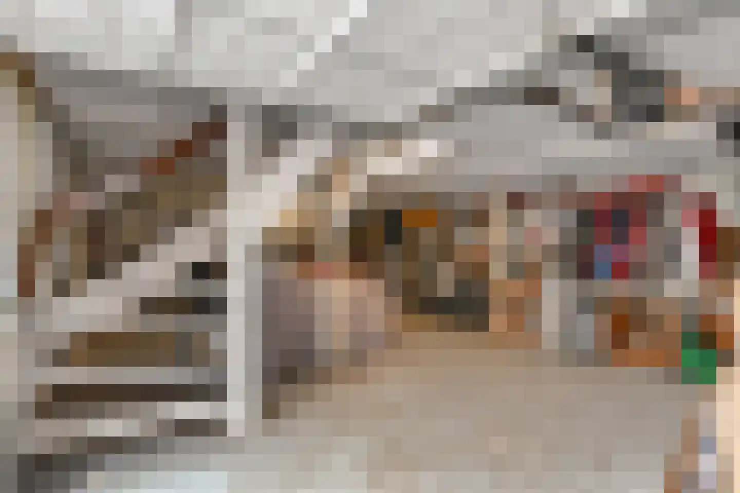 Parnashofweg 75 Leidschendam thumbnail 26