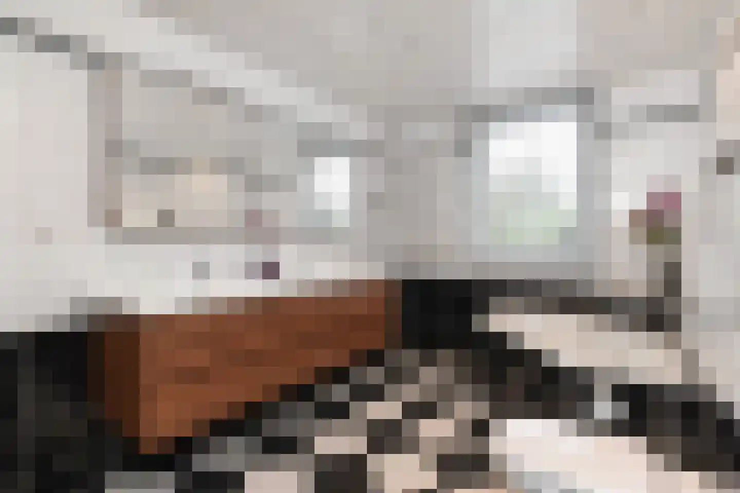 Parnashofweg 75 Leidschendam thumbnail 35