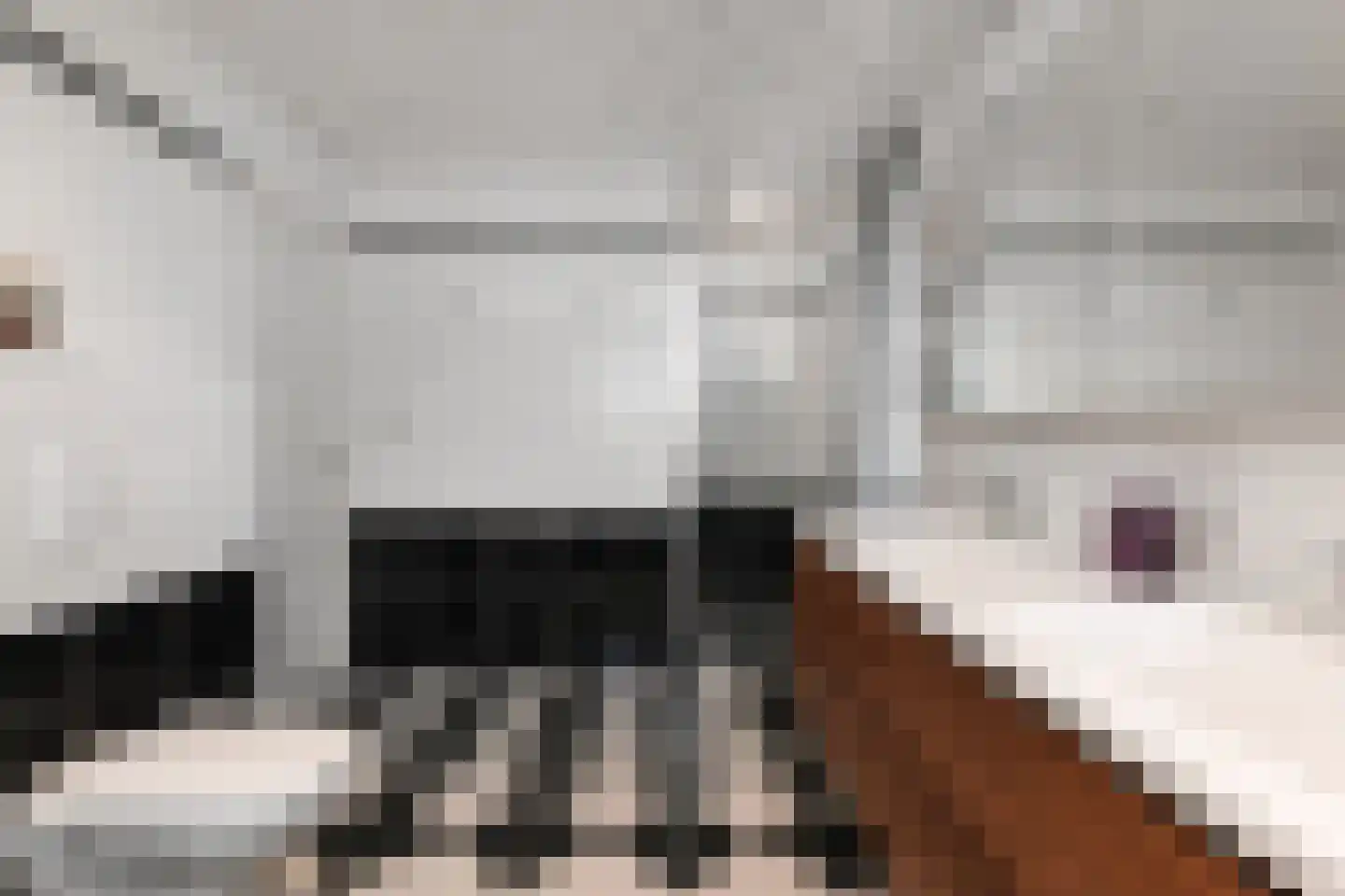 Parnashofweg 75 Leidschendam thumbnail 36