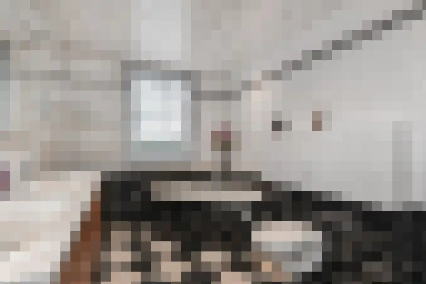 Parnashofweg 75 Leidschendam thumbnail 37