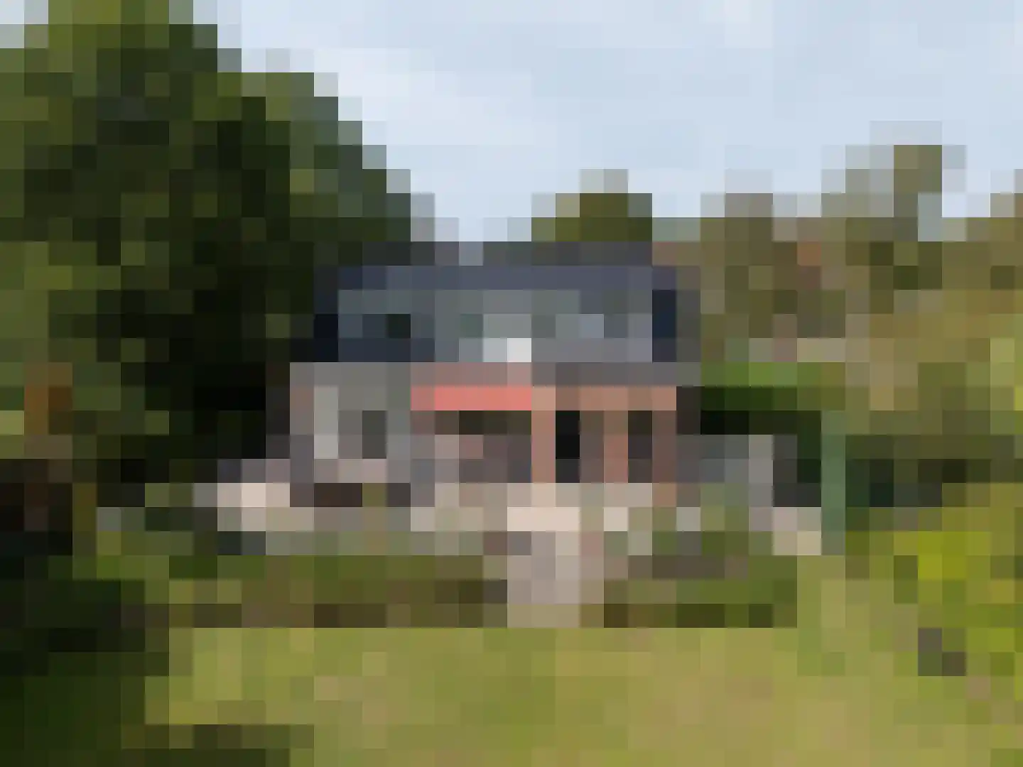 Parnashofweg 75 Leidschendam thumbnail 38