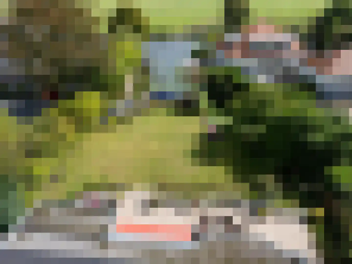 Parnashofweg 75 Leidschendam thumbnail 6