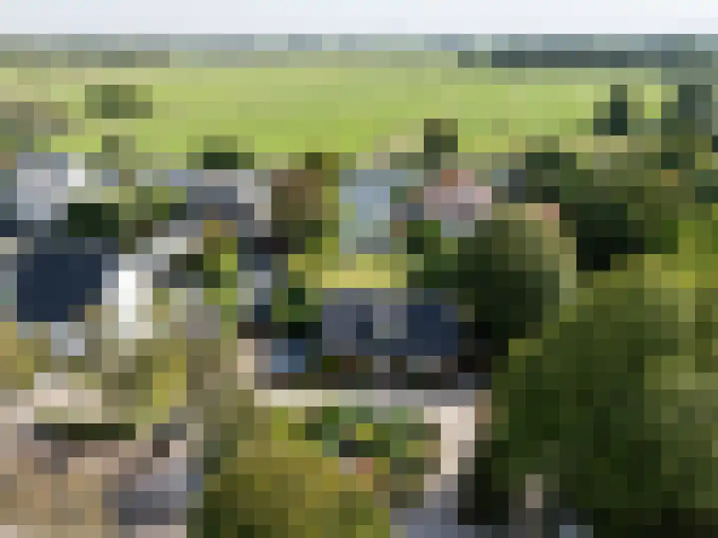 Parnashofweg 75 Leidschendam thumbnail 8