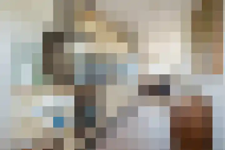 Parnaskruid 117 Amersfoort thumbnail 17