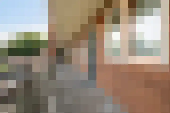 Parnaskruid 117 Amersfoort thumbnail 4