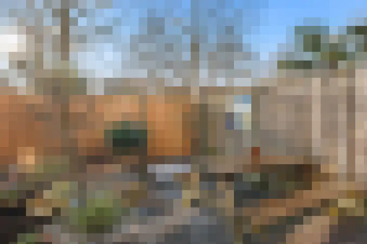 Parnaskruid 15 Amersfoort thumbnail 19