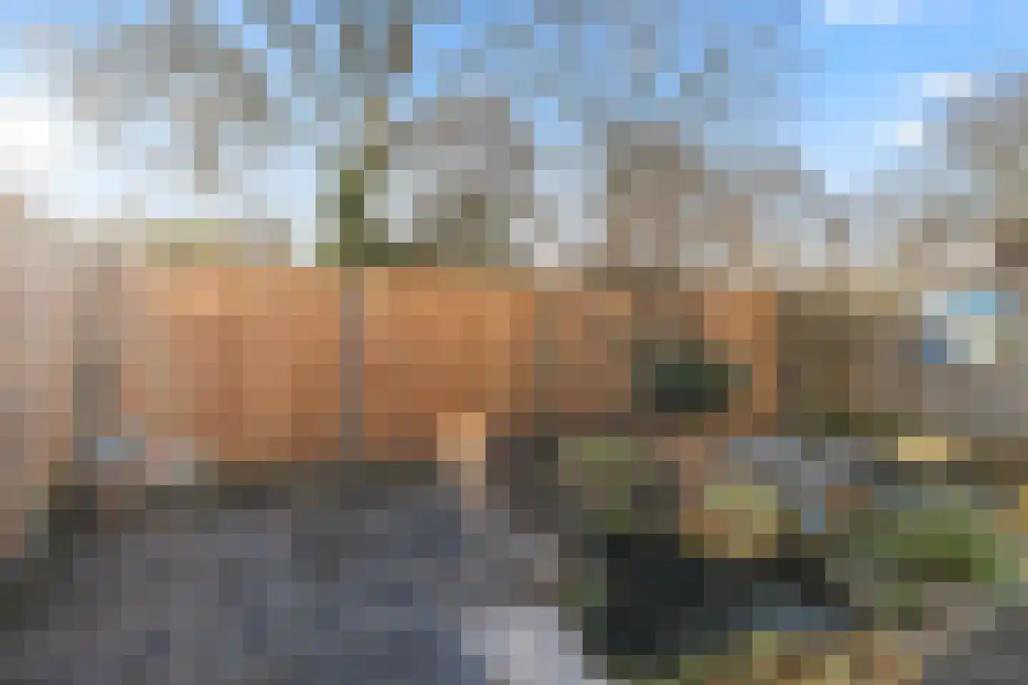 Parnaskruid 15 Amersfoort thumbnail 20