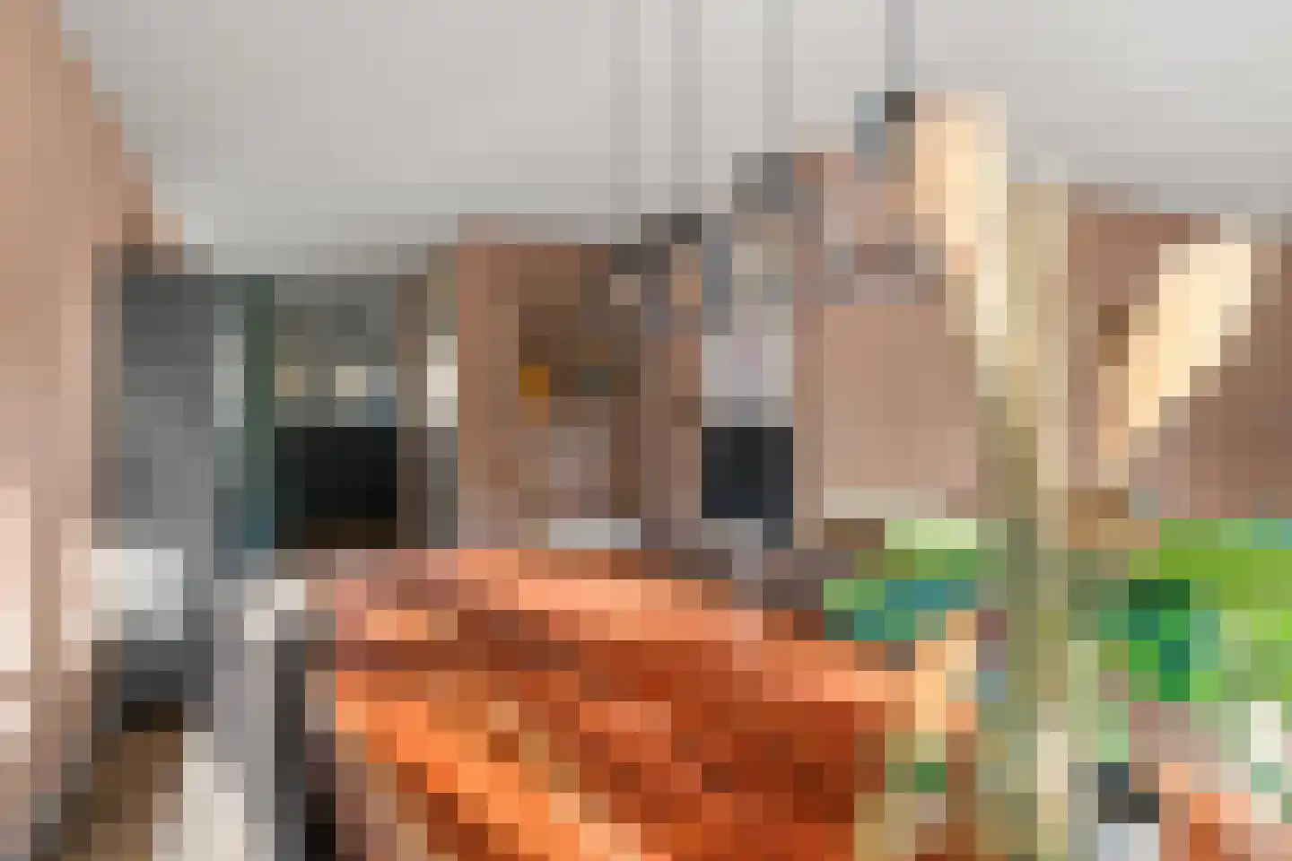 Parnaskruid 15 Amersfoort thumbnail 27