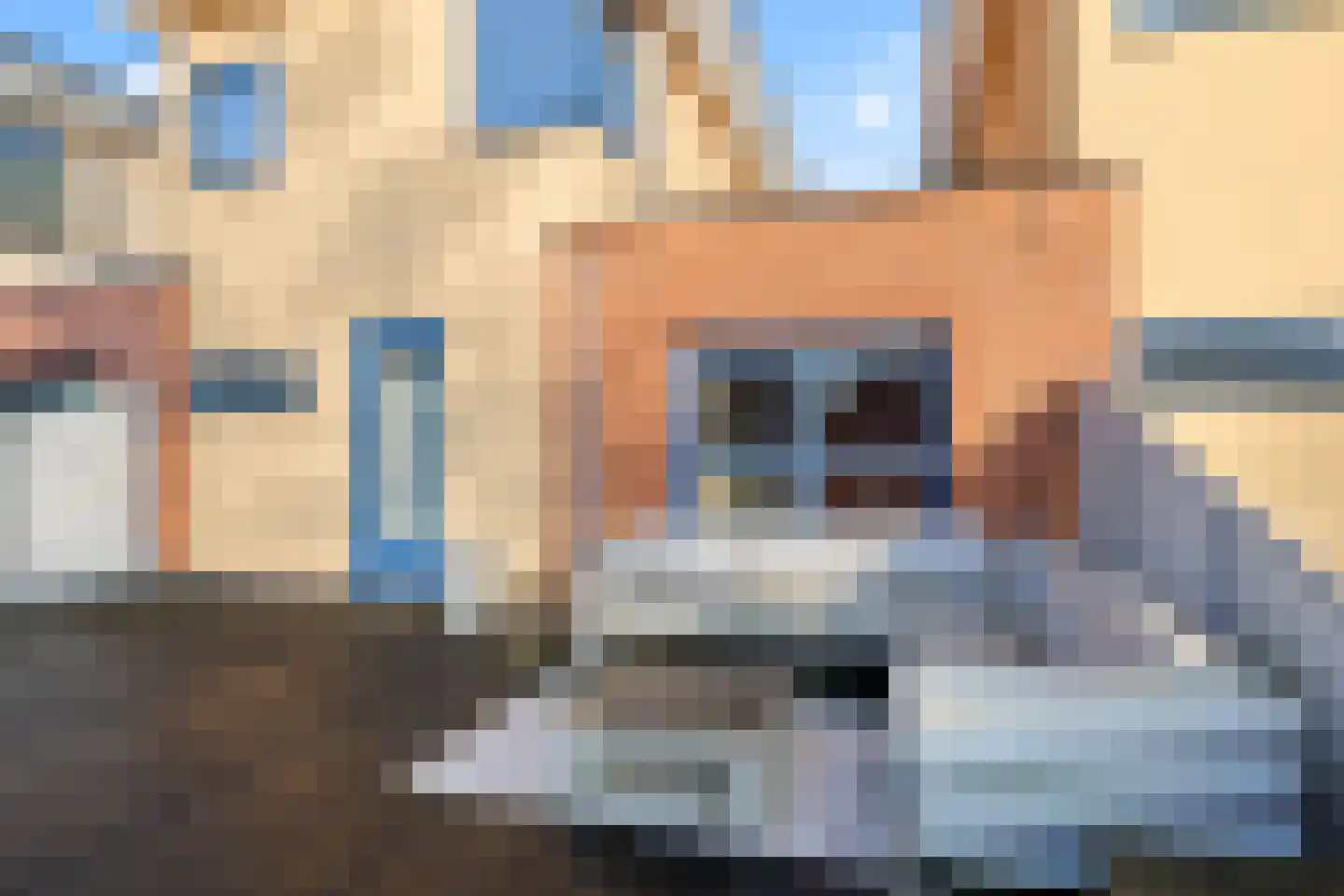 Parnaskruid 15 Amersfoort thumbnail 48
