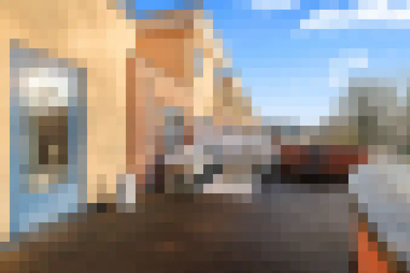 Parnaskruid 15 Amersfoort thumbnail 49
