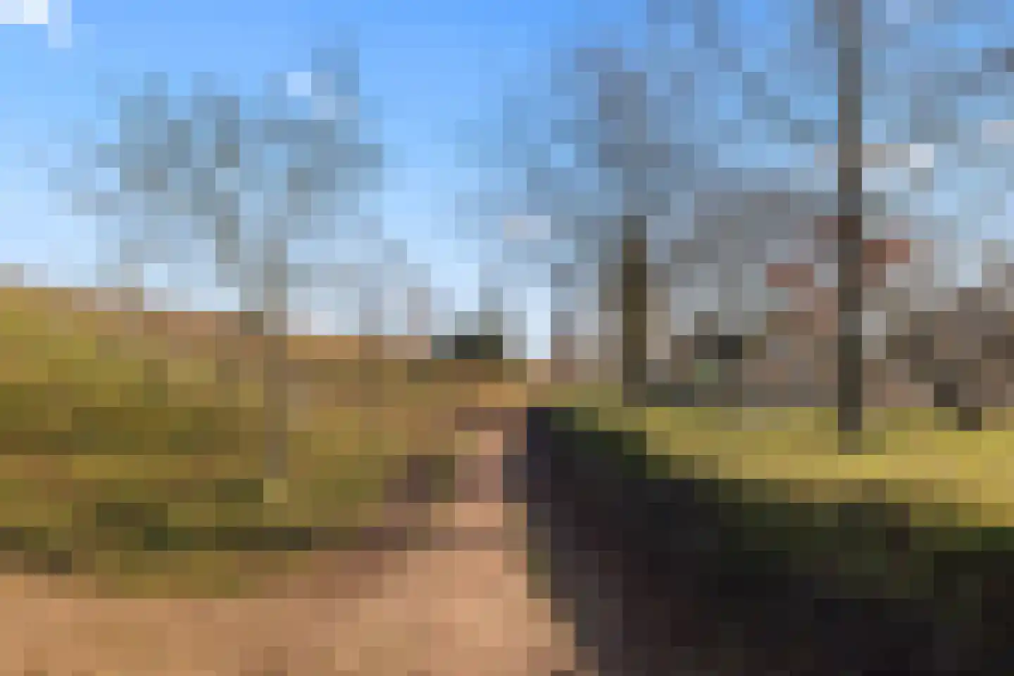 Parnaskruid 15 Amersfoort thumbnail 61
