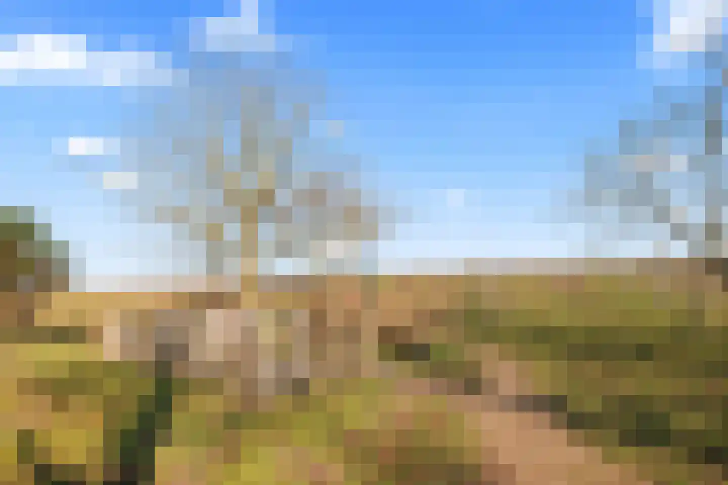 Parnaskruid 15 Amersfoort thumbnail 62