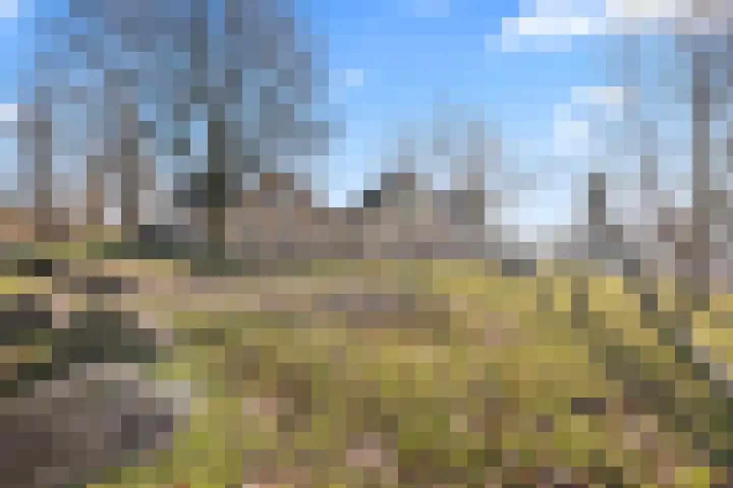 Parnaskruid 15 Amersfoort thumbnail 63