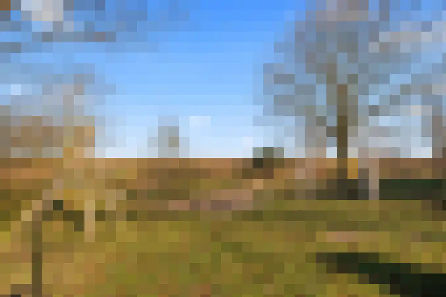 Parnaskruid 15 Amersfoort thumbnail 64