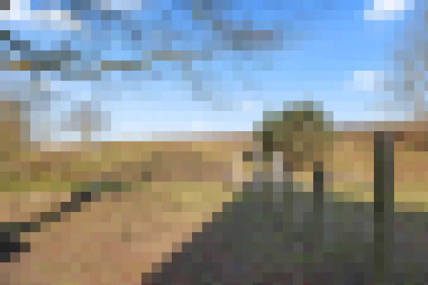 Parnaskruid 15 Amersfoort thumbnail 65