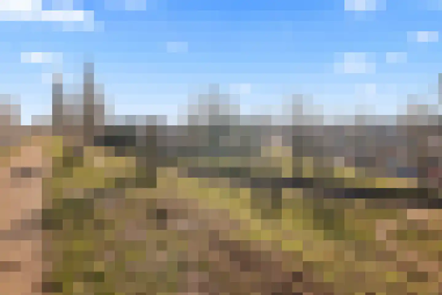 Parnaskruid 15 Amersfoort thumbnail 67