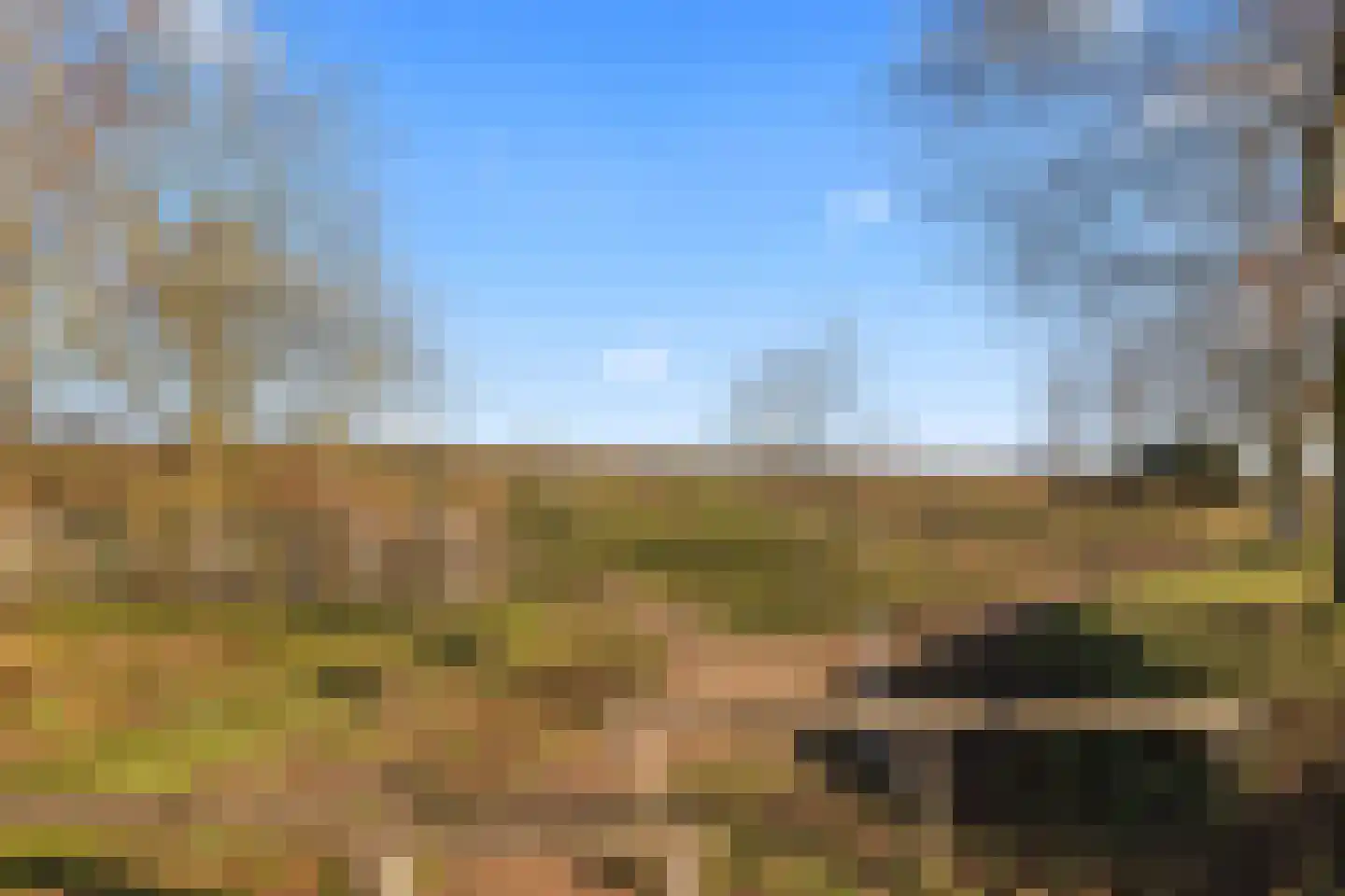 Parnaskruid 15 Amersfoort thumbnail 68