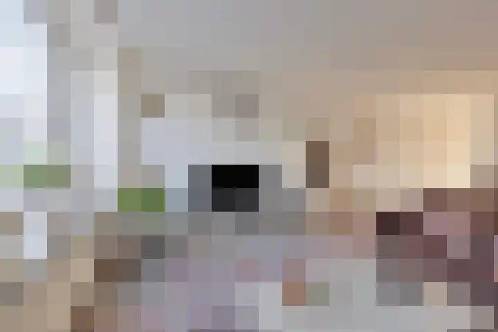 Parnaskruid 4 Amersfoort thumbnail 12