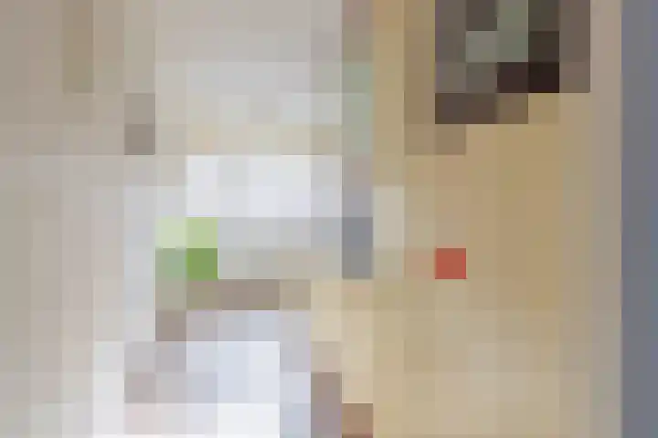 Parnaskruid 4 Amersfoort thumbnail 18