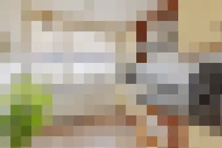 Parnaskruid 4 Amersfoort thumbnail 19