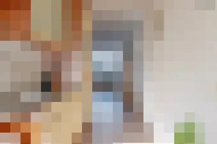 Parnaskruid 4 Amersfoort thumbnail 21