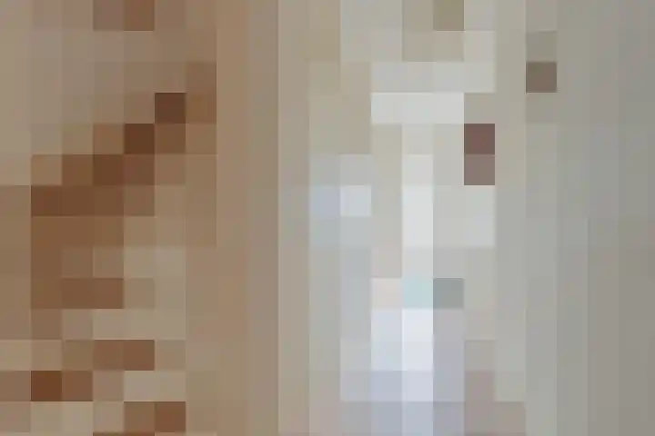 Parnaskruid 4 Amersfoort thumbnail 23
