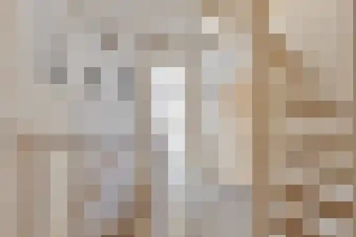 Parnaskruid 4 Amersfoort thumbnail 24