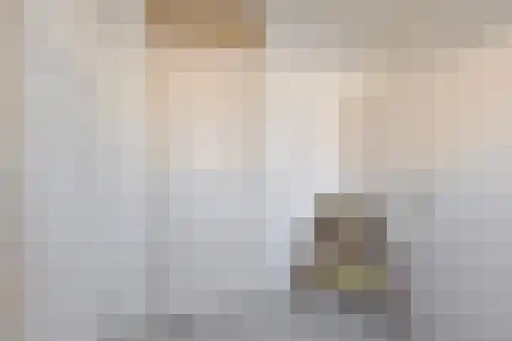 Parnaskruid 4 Amersfoort thumbnail 32