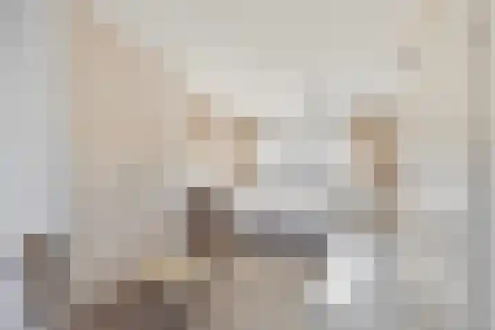 Parnaskruid 4 Amersfoort thumbnail 35