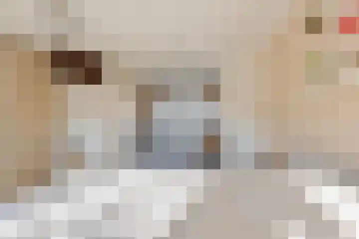 Parnaskruid 4 Amersfoort thumbnail 37