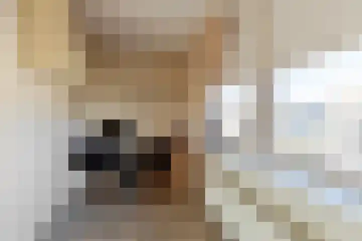 Parnaskruid 4 Amersfoort thumbnail 39