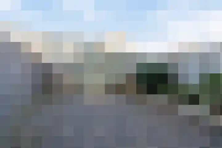 Parnaskruid 4 Amersfoort thumbnail 40