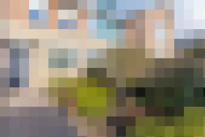 Parnaskruid 4 Amersfoort thumbnail 47