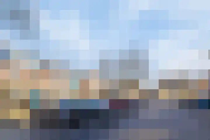 Parnaskruid 4 Amersfoort thumbnail 49