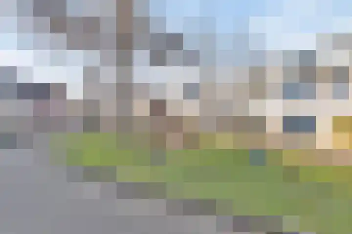 Parnaskruid 4 Amersfoort thumbnail 50