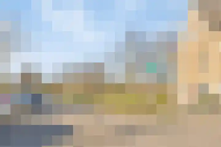 Parnaskruid 4 Amersfoort thumbnail 51