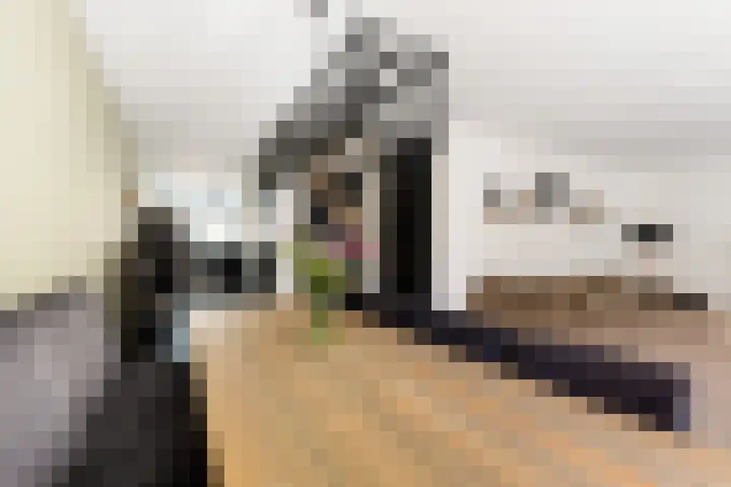 Parnaskruid 9 Amersfoort thumbnail 11