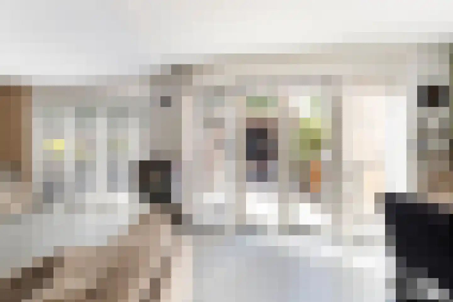 Parnaskruid 9 Amersfoort thumbnail 17