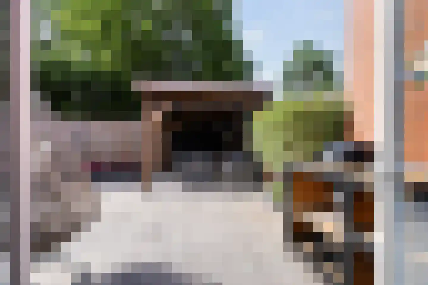 Parnaskruid 9 Amersfoort thumbnail 18