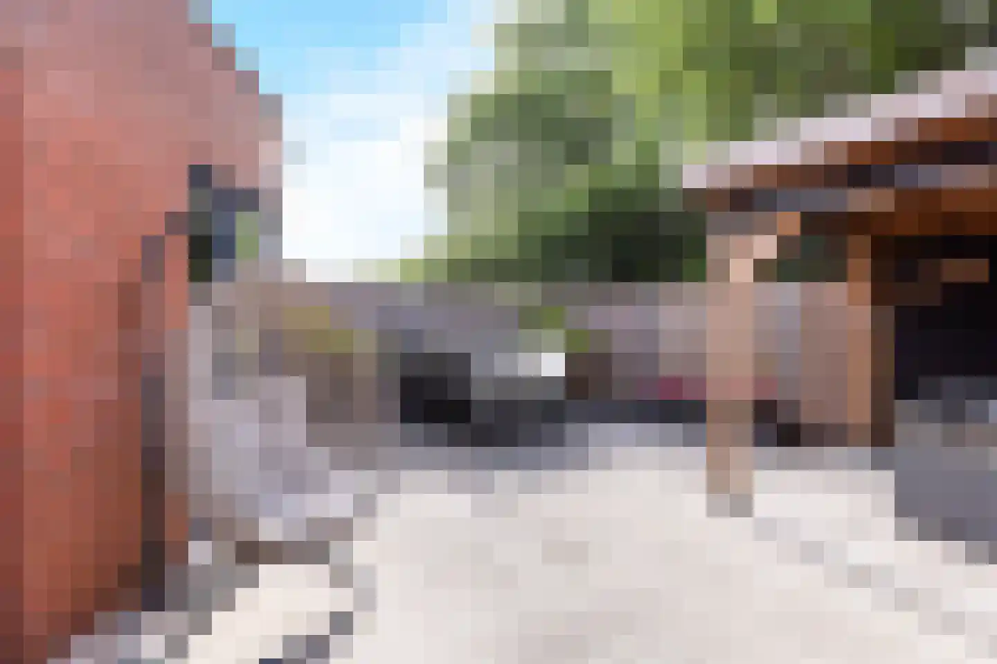 Parnaskruid 9 Amersfoort thumbnail 19