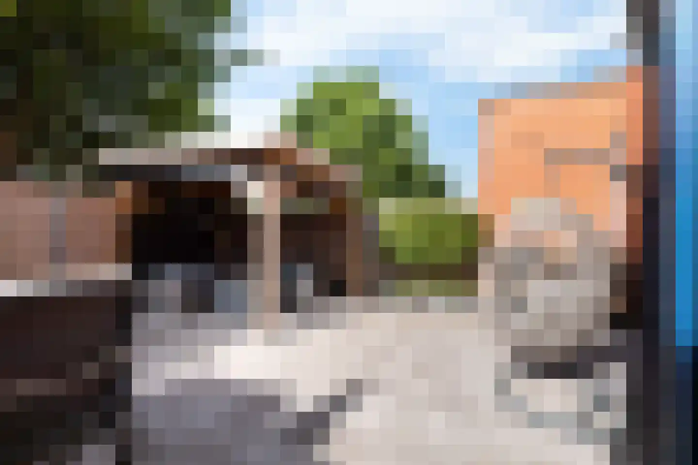 Parnaskruid 9 Amersfoort thumbnail 20