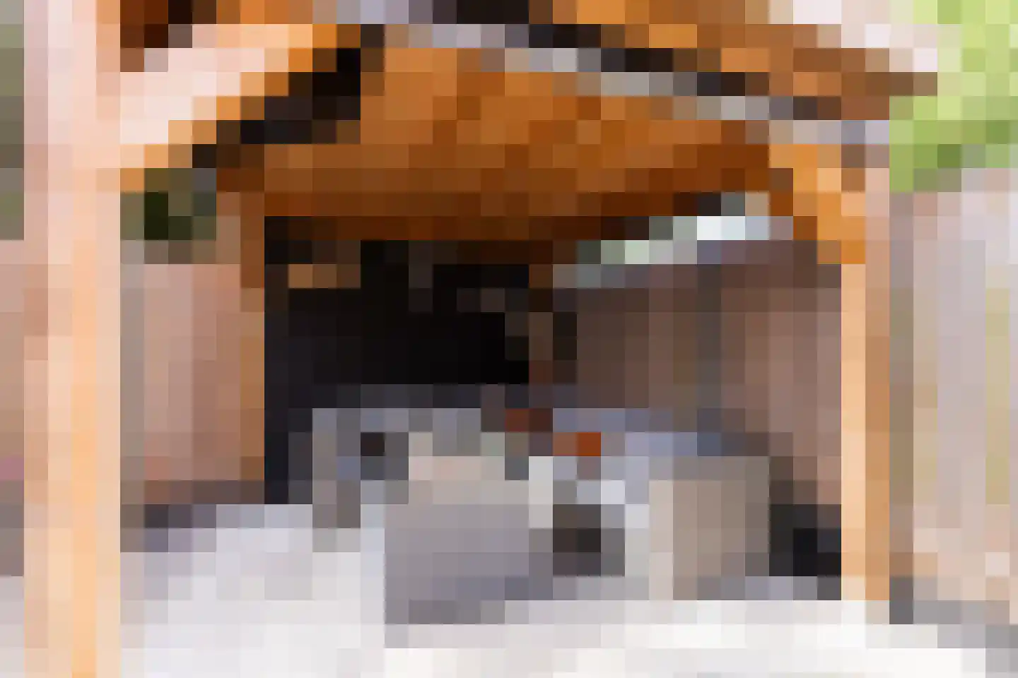 Parnaskruid 9 Amersfoort thumbnail 22